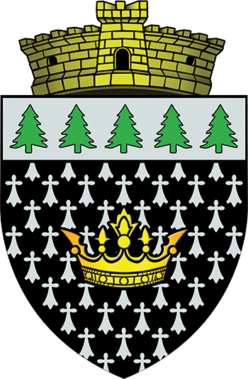 Primaria Brazi
